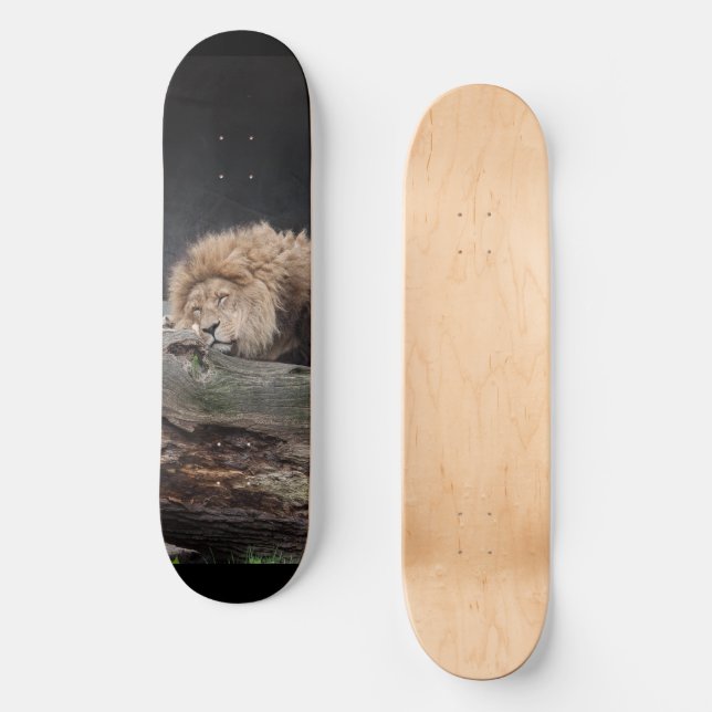 Lion Skateboard (Frente)