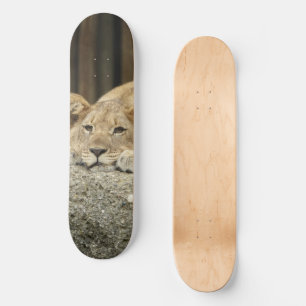 Lion Skateboard