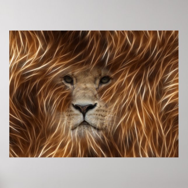 Lion With Long Hair Posters (Frente)