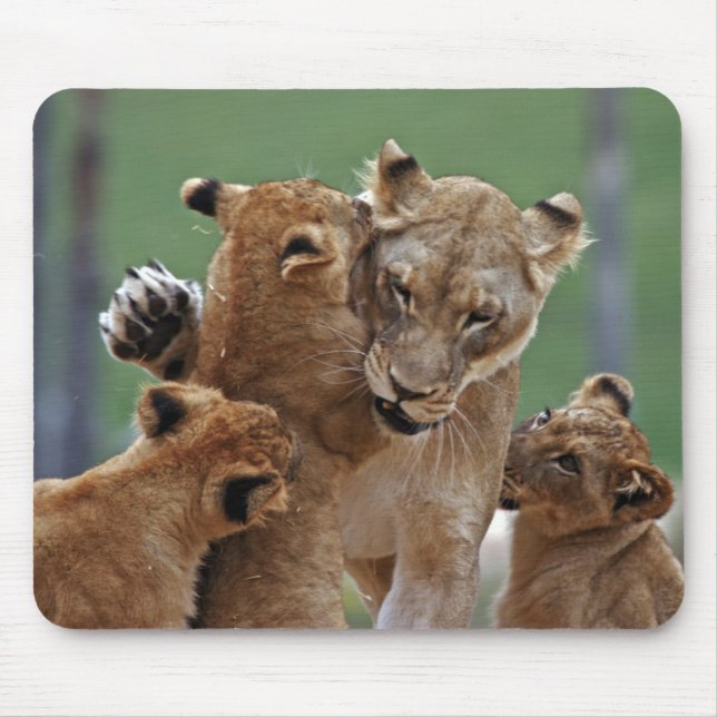 Lioness e Mousepad de 3 Cubs (Frente)