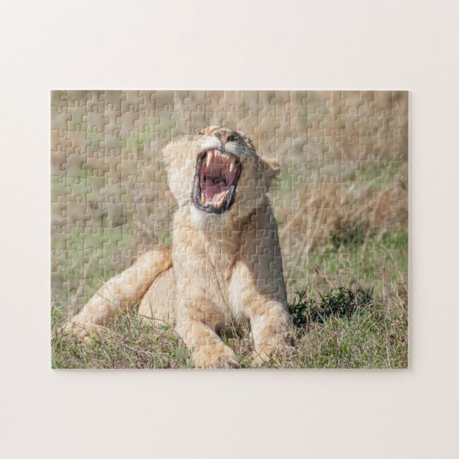 Lioness Roaring Quebra-cabeça (Horizontal)