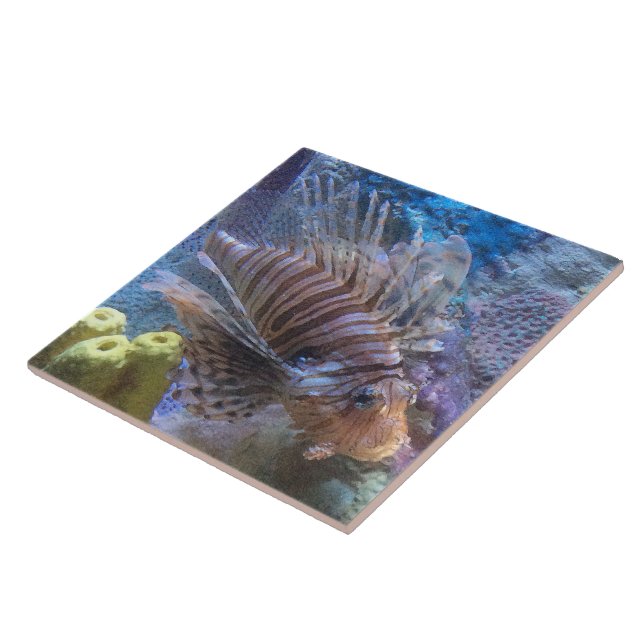 Lionfish (Lateral)