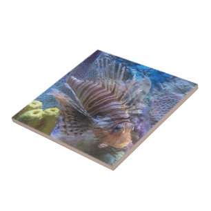 Lionfish