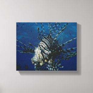Lionfish na Canvas do oceano
