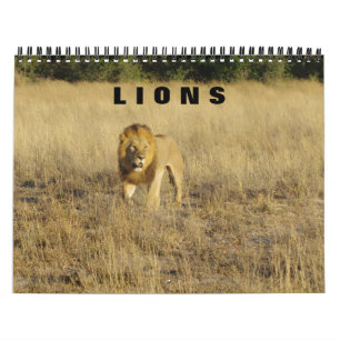 LIONS - TODOS OS LIONS CALENDÁRIO