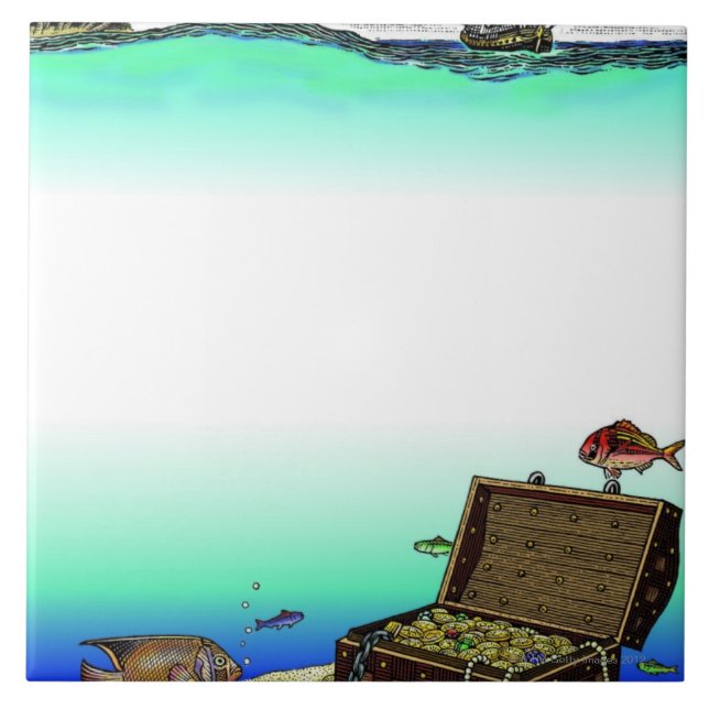 LiquidLibrary 13 (Frente)