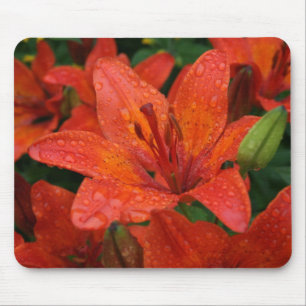 Lírio alaranjado Mousepad