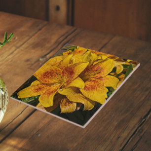 Lírio Asiático Amarelo Floral em Flor
