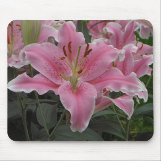 Lírio cor-de-rosa Mousepad