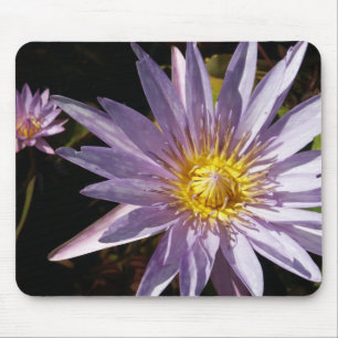 Lírio de água roxo Mousepad