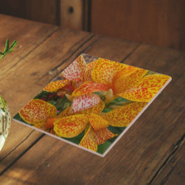 Lírio-de-canna-amarelo com Floral de Pontos Vermel