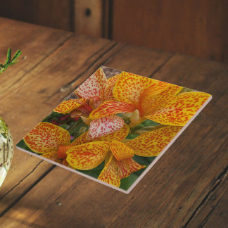 Lírio-de-canna-amarelo com Floral de Pontos Vermel