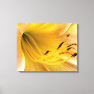 Lírio de dia - canvas
