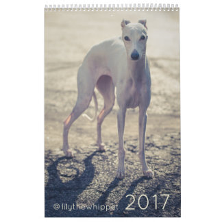 Lírio o calendário de Whippet 2017