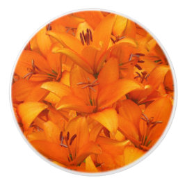 Lírios alaranjados do jardim da foto da flor