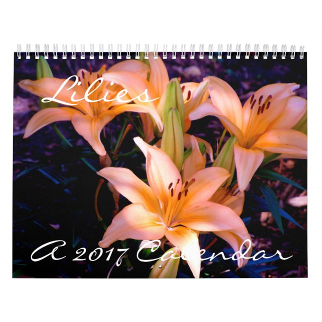 Lírios - calendário 2017 (Capa)