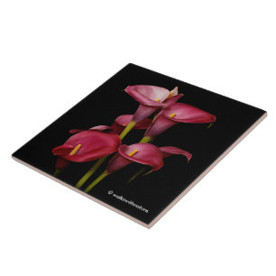 Lírios de Calla roxos elegantes