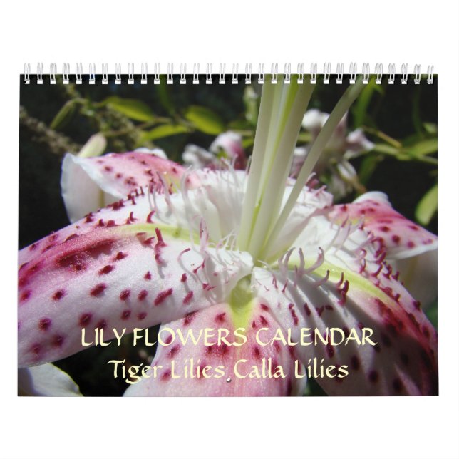 LÍRIOS DO CALENDÁRIO Flores de Lírio Calla Rosa Lí (Capa)