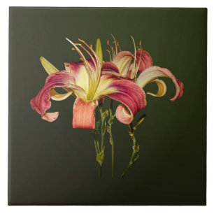 Lírios Rosa Escuros Com Centros Amarelos