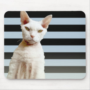 Listra azul/preta Mousepad do gato de Rex