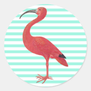 Listras do flamingo & da cerceta - etiqueta das