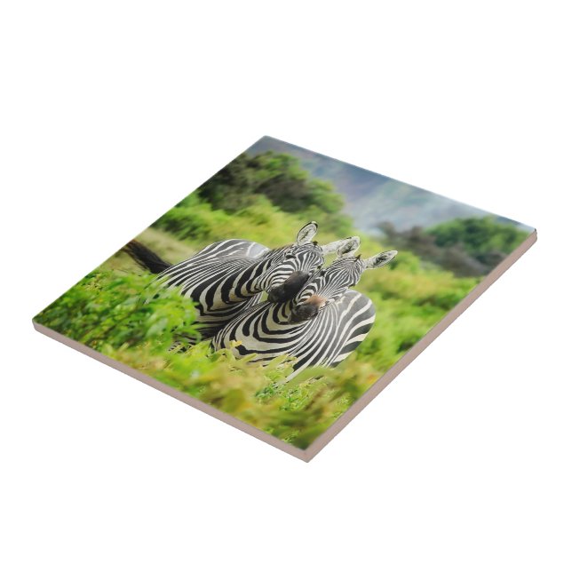 Listras zebras na natureza (Lateral)