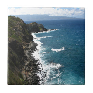 Litoral de Kapalua da praia