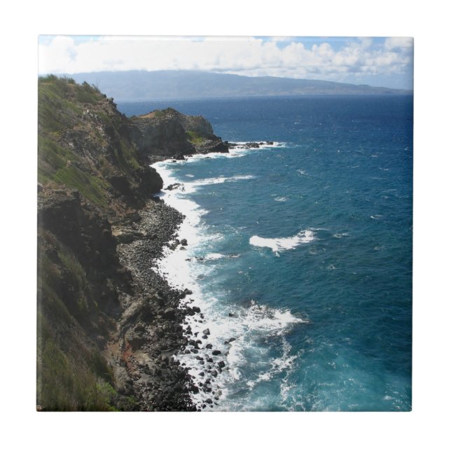 Litoral de Kapalua da praia (Frente)