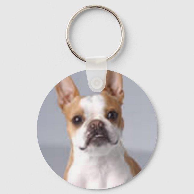 Little Brown Boston Terrier Chaveiro (Frente)