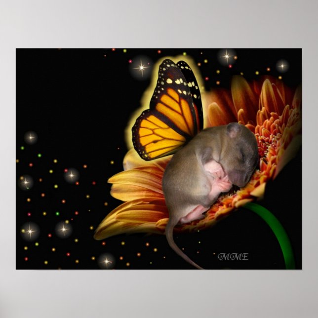 Little Daisy Dreamer Poster (Frente)