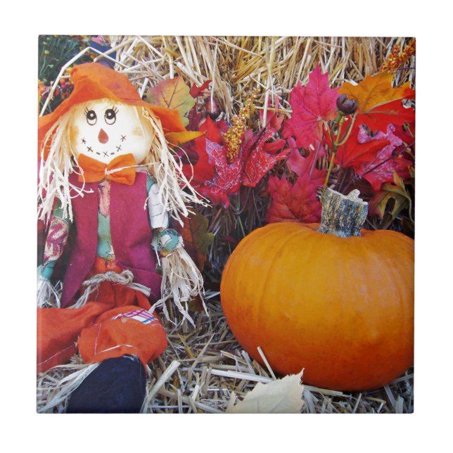 Little Mister Scarecrow (Frente)