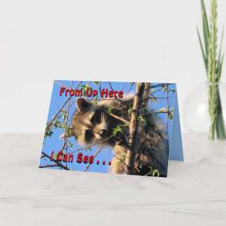Little Racoon Qualquer Cartão de Ocasião personali