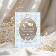 Little Silly Goose Baby Shower Blue Gingham