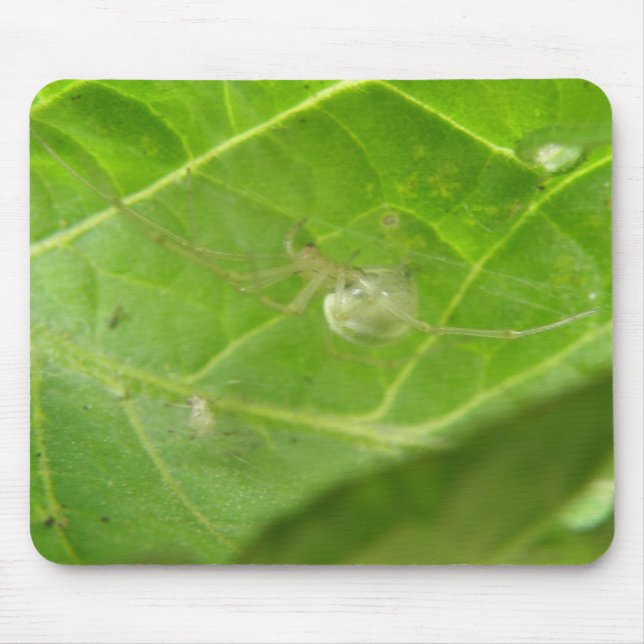 Little Spider Mousepad (Frente)