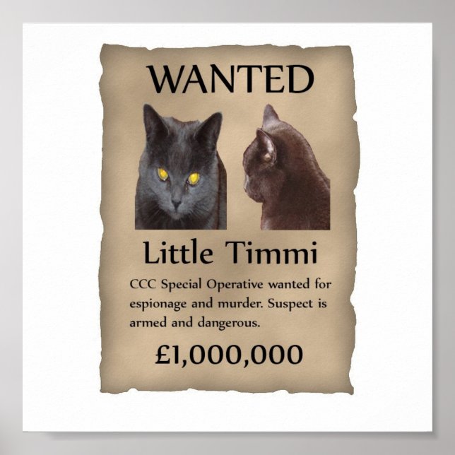 Little Timmi wanted poster (Frente)