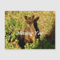 Little Wallaby