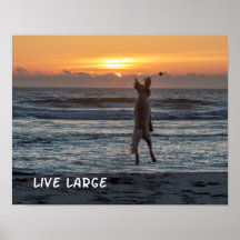 "Live Large" Beach Sunset Poster (14" x 11")