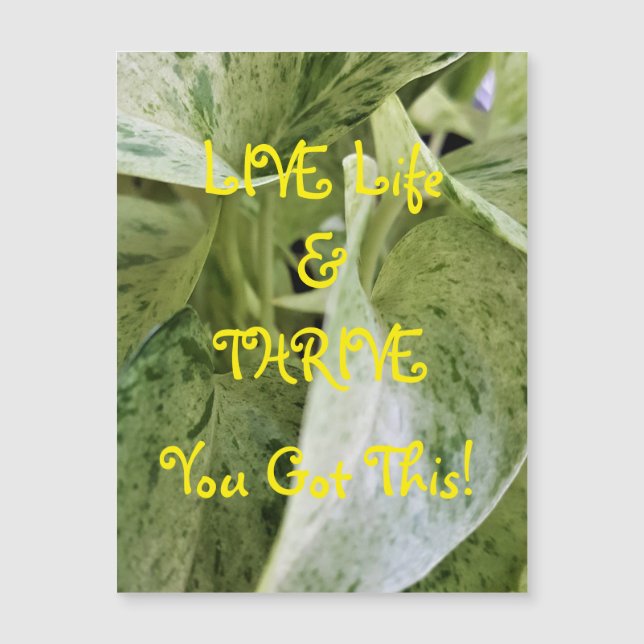 Live Life & Thrive Magnetic Greeting Card (Frente)