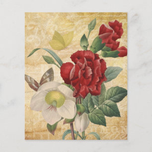 Livro Branco sobre Hellebores Vermelhos e Brancos