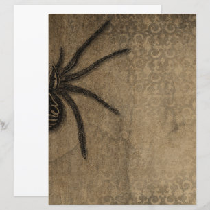 Livro de Aranha Gótica do Halloween vitoriano