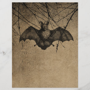Livro de Bat do Dia das Bruxas Vitoriano
