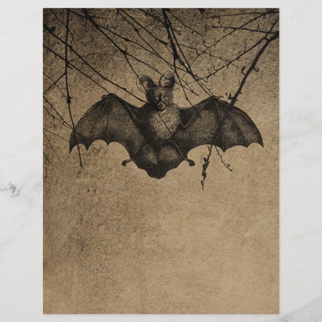 Livro de Bat do Halloween vitoriano (Frente)