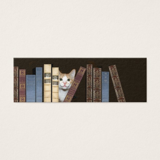 Livro de gatos e livros (Frente)