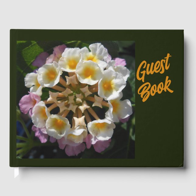 Livro De Visitas Adelaparre (Frente)