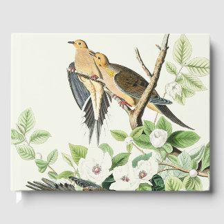 Livro De Visitas Arte Floral Vintage de Pombo-Mourning de Audubon