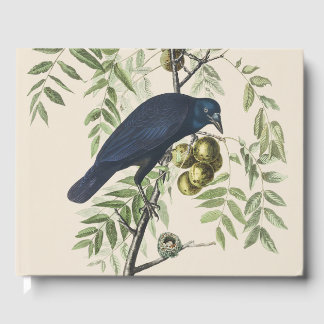 Livro De Visitas Audubon Black Crow American Bird Illustration