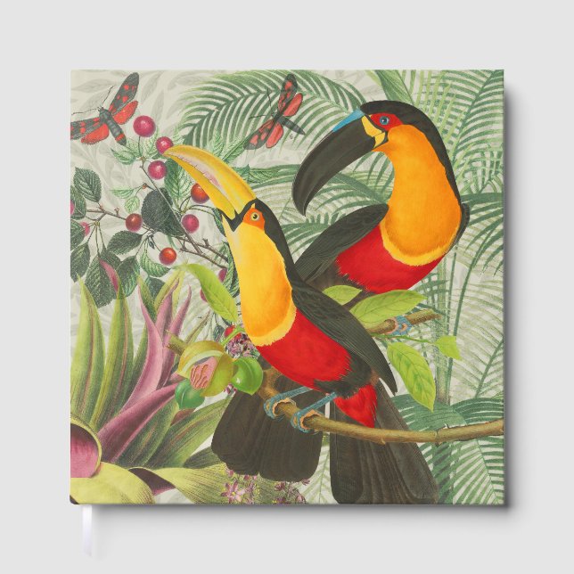 Livro De Visitas Aves Tropicais Vibrantes Turianos Arte Selva Exóti (Frente)
