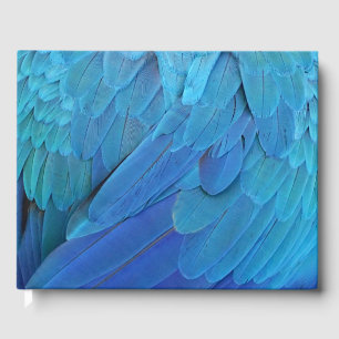Livro De Visitas Blue feathers