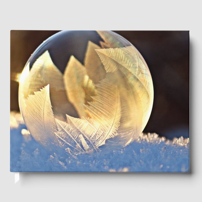 Livro De Visitas Bolha de sabão na neve (Frente)