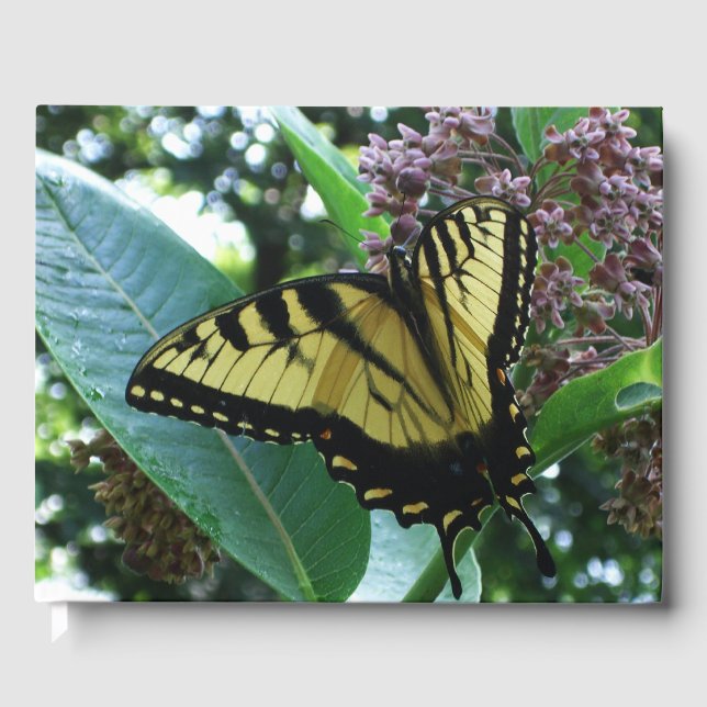 Livro De Visitas Borboleta I de Swallowtail em Milkweed em Shenando (Frente)
